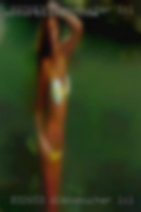 dienaBucher